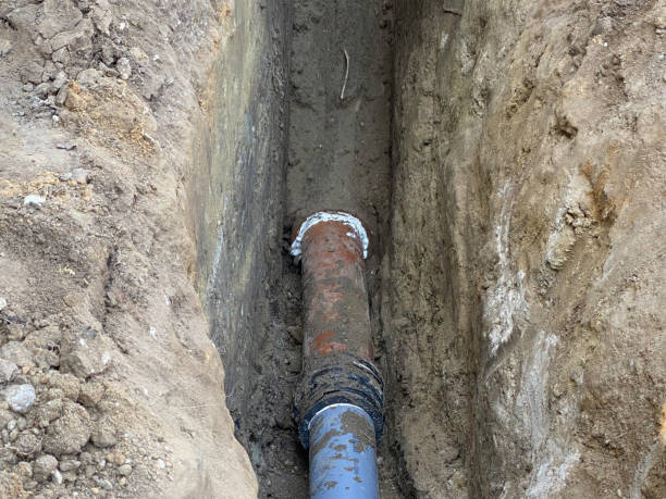 Best 24/7 water damage repair  in Monroeville, OH