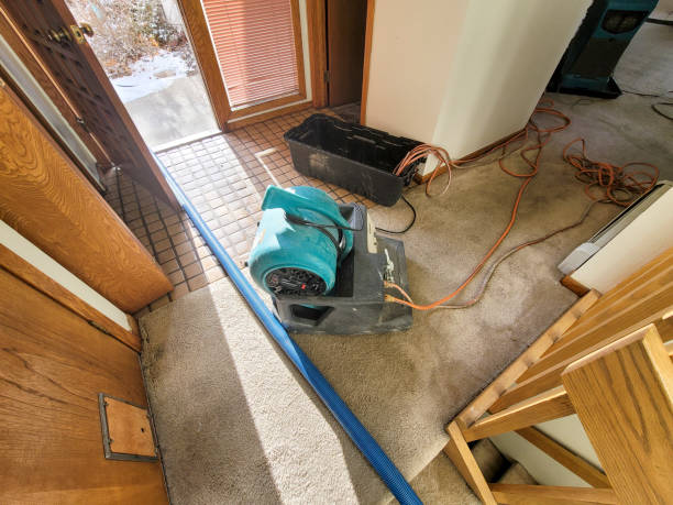 Best Residential water damage restoration  in Monroeville, OH
