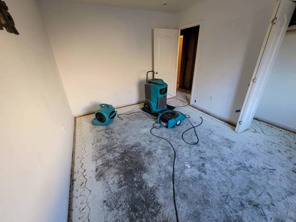Monroeville, OH Water damage restoration Company