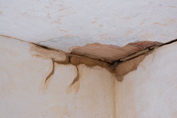 Best Basement water damage restoration  in Monroeville, OH