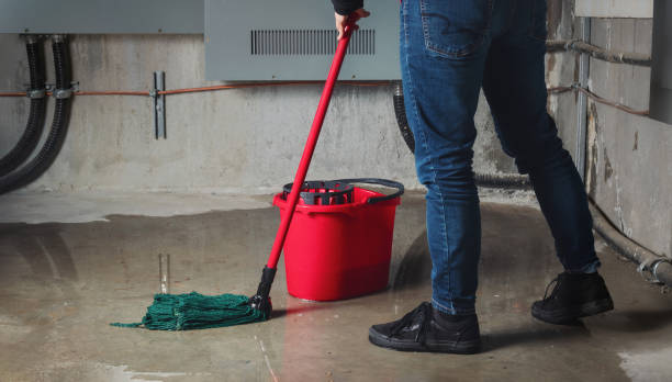 Trusted Monroeville, OH Water damage restoration Experts