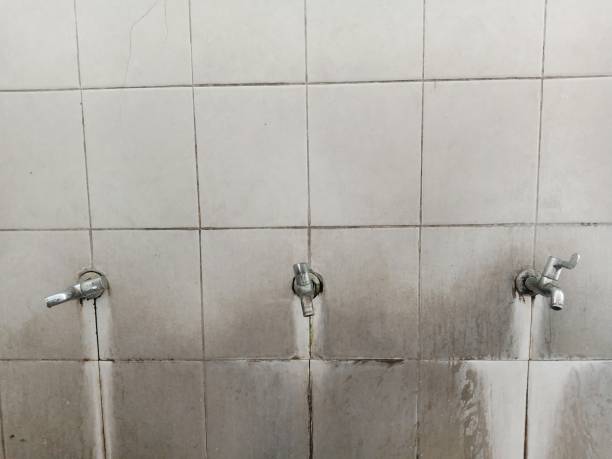 Best Water damage cleanup near me  in Monroeville, OH