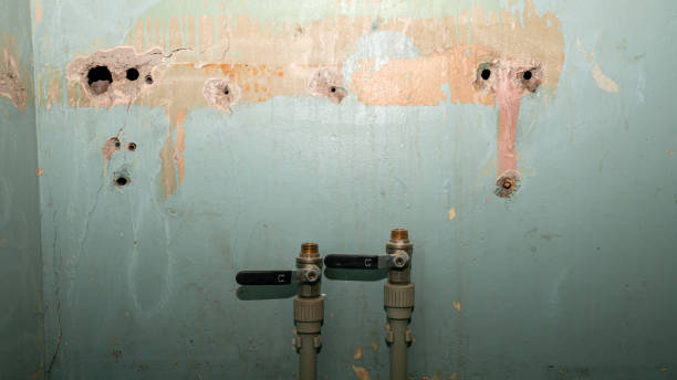 Best Mold removal after water damage  in Monroeville, OH