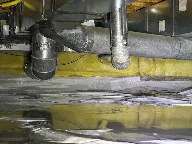 Best Carpet water damage restoration  in Monroeville, OH