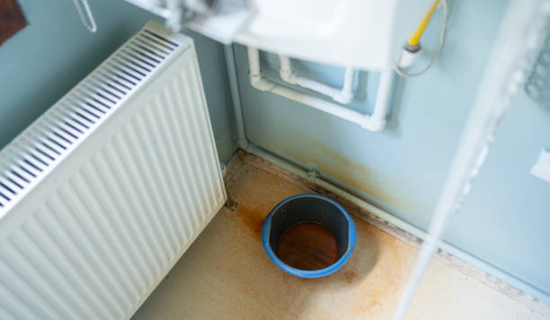 Best 24-hour water damage restoration  in Monroeville, OH