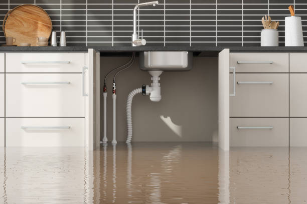 Best Water damage repair service  in Monroeville, OH