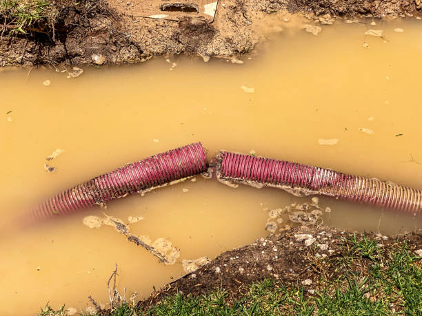 Best Flood damage cleanup  in Monroeville, OH