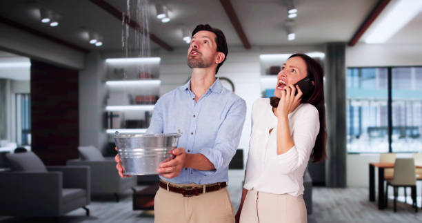 Best Emergency water damage restoration  in Monroeville, OH